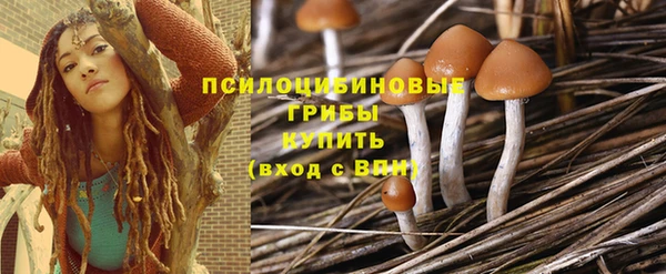 прущие крисы Алексеевка