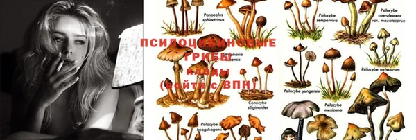 прущие крисы Алексеевка