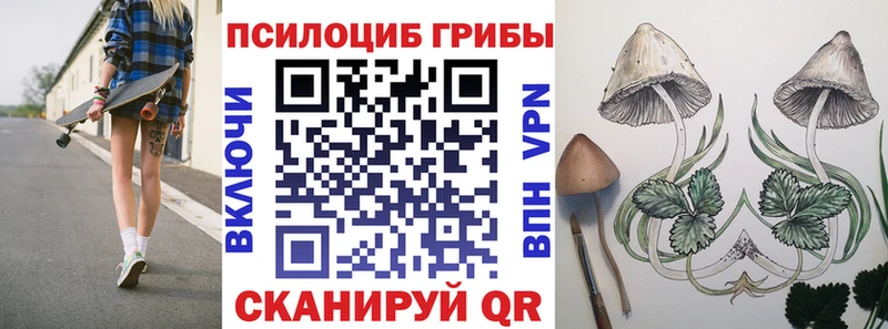Галлюциногенные грибы GOLDEN TEACHER  Купить где  Кореновск 